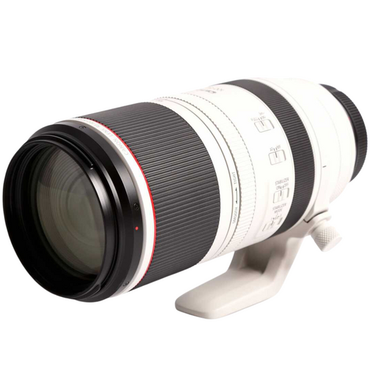 CANON RF 100-500mm f/4.5-7.1L IS USM Lens