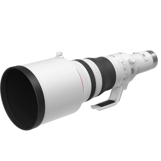 Canon RF 800mm f/5.6L IS USM Lens